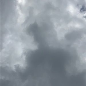 Meet your Posher, Noah